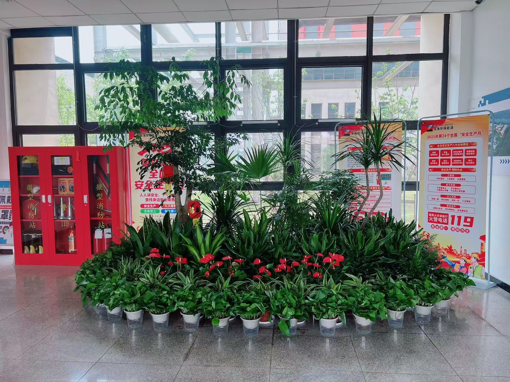 北仑植物出租价格实惠